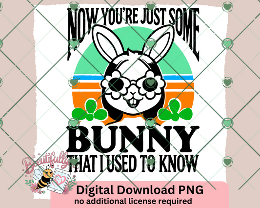 now youre just some bunny that I use to know