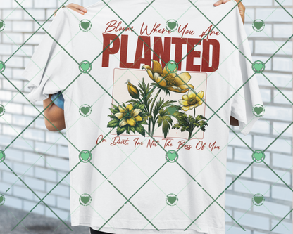 Bloom Where You Are Planted, or dont, Im not the boss of you. PNG download