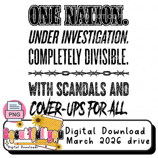One Nation Under Investigation PNG | | Completely Divisible Sarcastic Quote | Digital Download